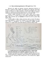 Конспект 'Latvijas topogrāfisko karšu apzīmējumu sistēmas izmaiņas kopš 20.gadsimta sākuma', 10.