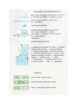 Конспект 'Latvijas topogrāfisko karšu apzīmējumu sistēmas izmaiņas kopš 20.gadsimta sākuma', 21.