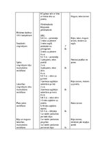 Конспект '4. Klases sporta stundas konspekts', 3.