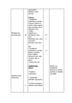Конспект '4. Klases sporta stundas konspekts', 5.