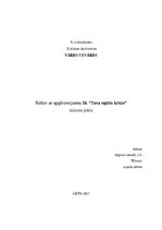 Бизнес план 'Krūze ar apgleznojumu IK “Tava sajūtu krūze”', 1.