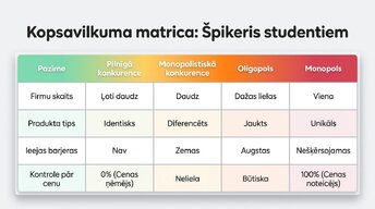 Презентация 'Tirgus struktūras mikroekonomikā un makroekonomikā', 10.