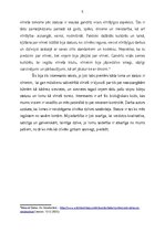 Эссе 'CILVĒKU MIJIEDARBĪBA SASKARSMĒ', 5.