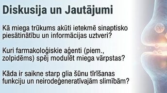Презентация 'Neirobioloģija: miegs, atmiņa un sinaptiskā plasticitāte', 16.