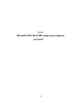 Конспект 'Microsoft Office Excel 2007 programmas lappuses parametri', 1.