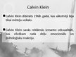 Реферат 'Jauniešu attieksmi pret "Calvin Klein" drukātajām reklamām veidojošie faktori', 37.