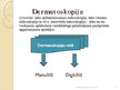 Презентация 'Melanomas diagnostika un terapija dermatologa kompetencē', 6.