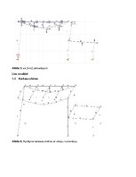 Образец документа 'Būvkonstrukciju automatizētā projektēšana Lira un Axis programmās', 6.