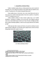 Реферат 'GRAFĒNS. STRUKTŪRA, IEGŪŠANAS METODES, ĪPAŠĪBAS, PIELIETOŠANA', 4.