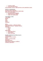 Конспект 'Saistību tiesību teorija', 4.