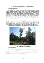 Реферат 'Ainavu veidošana. Langervaldes meža labiekārtojuma projekts', 17.