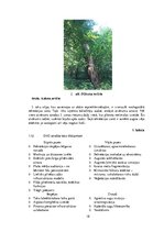 Реферат 'Ainavu veidošana. Langervaldes meža labiekārtojuma projekts', 18.