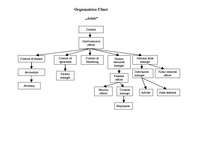 Конспект 'Organization Chart', 1.