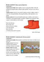 Образец документа 'Rotaļu kopa sociālo prasmju pilnveidei', 6.