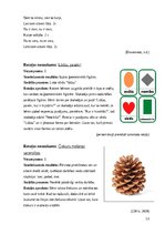 Образец документа 'Rotaļu kopa sociālo prasmju pilnveidei', 13.