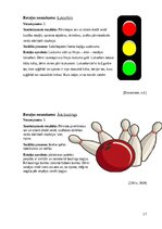 Образец документа 'Rotaļu kopa sociālo prasmju pilnveidei', 17.