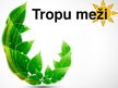 Презентация 'Tropu meži', 1.