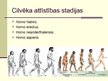 Презентация 'Cilvēka attīstības stadija "Homo erectus"', 3.