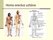 Презентация 'Cilvēka attīstības stadija "Homo erectus"', 5.