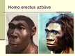 Презентация 'Cilvēka attīstības stadija "Homo erectus"', 6.