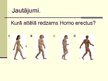 Презентация 'Cilvēka attīstības stadija "Homo erectus"', 8.