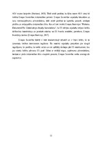 Реферат 'Ekonomiskās diplomātijas nozīme 21. gadsimtā', 11.