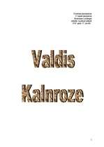 Реферат 'Valdis Kalnroze', 1.