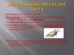 Презентация 'Meningokoku infekcija', 3.