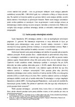 Реферат 'Nodokļu instrumentu ietekme uz saules paneļu izmantošanu mājsaimniecībās', 8.