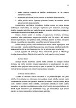 Отчёт по практике 'Mārketinga plāns SIA "MMM" - specializācija: datoru un biroja tehnikas tirdzniec', 17.