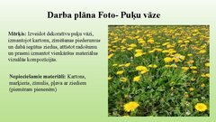 Презентация 'Darba plānas- Radošs uzdevums: Puķu vāzes izveide ar dabas materiāliem', 2.