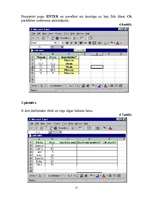Реферат 'MS Excel programmas funkcijas', 38.