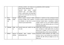 Конспект 'SCAMPER', 2.