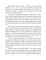 Эссе 'Reklāmas tēlu reprezentācija antireklāmās', 4.