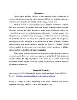 Эссе 'Reklāmas tēlu reprezentācija antireklāmās: Pepsi vs. Coca-Cola, Samsung vs. iPho', 6.