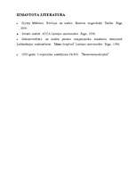 Реферат 'Inventarizācija', 11.