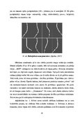 Э-книга 'Intelektuālās sistēmas un tehnoloģijas', 57.