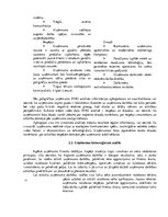 Реферат 'Tehnoloģiskais audits poligrāfijas uzņēmumā SIA "MP Druka"', 12.