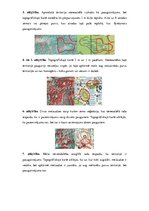 Образец документа 'Digitālie stereoattēli, attēlu stereoapskate un analīze', 3.