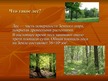 Презентация 'Последствия массовой вырубки лесов', 2.