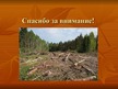 Презентация 'Последствия массовой вырубки лесов', 9.