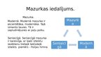 Презентация 'Mazurka', 5.