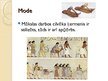 Презентация 'Mode un mēbeles Ēģiptē', 10.