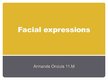 Презентация 'Facial Expressions', 1.