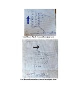 Отчёт по практике 'Prakses atskaite - mežizstrāde', 3.