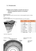 Образец документа 'Endogēno procesu darbība, seismiskās aktivitātes un vulkānisma ģeogrāfiskā izpla', 1.