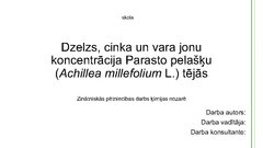 Реферат 'Dzelzs, cinka un vara masas daļa Parasto pelašķu (Achillea millefolium L.) tējās', 21.