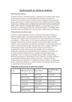 Конспект 'Audiovizuālā un skatuves māksla', 1.