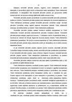 Реферат 'Latvijas Republikas normatīvais regulējums Šengenas konvencijas ieviešanai', 47.