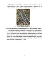 Отчёт по практике 'Ilzeskalna poligona ģeoloģiskā uzbūve, reljefs un mūsdienu ģeoloģiskie procesi', 13.